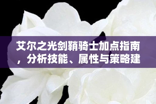 艾尔之光剑鞘骑士加点指南图片