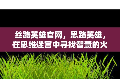 丝路英雄官网，思路英雄，在思维迷宫中寻找智慧的火花