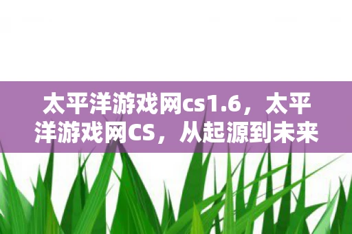 太平洋游戏网cs1.6,太平洋游戏网CS,从起源到未来的传奇之旅 太平洋游戏网cs1.6,太平洋游戏网CS,从起源到未来的传奇之旅