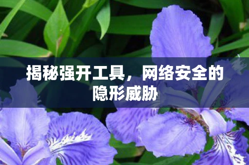 揭秘强开工具,网络安全的隐形威胁 揭秘强开工具,网络安全的隐形威胁
