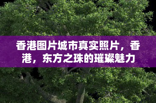香港图片城市真实照片,香港,东方之珠的璀璨魅力 香港图片城市真实照片,香港,东方之珠的璀璨魅力