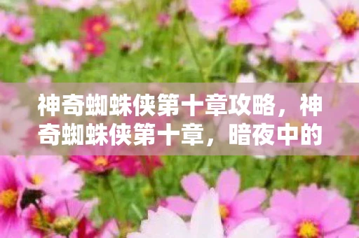 神奇蜘蛛侠第十章攻略，神奇蜘蛛侠第十章，暗夜中的守护者