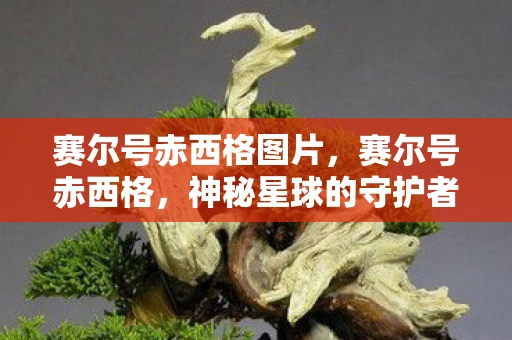 赛尔号赤西格图片,赛尔号赤西格,神秘星球的守护者 赛尔号赤西格图片,赛尔号赤西格,神秘星球的守护者