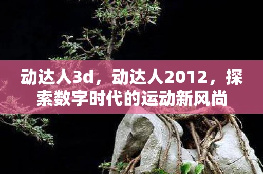 动达人3d，动达人2012，探索数字时代的运动新风尚