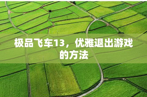 优雅退出游戏的方法图片