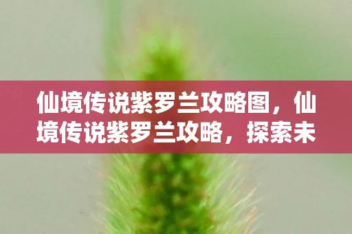 仙境传说紫罗兰攻略图,仙境传说紫罗兰攻略,探索未知,挑战极限 仙境传说紫罗兰攻略图,仙境传说紫罗兰攻略,探索未知,挑战极限