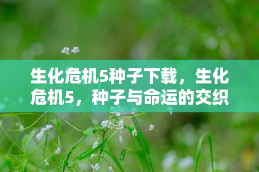 生化危机5种子下载,生化危机5,种子与命运的交织 生化危机5种子下载,生化危机5,种子与命运的交织