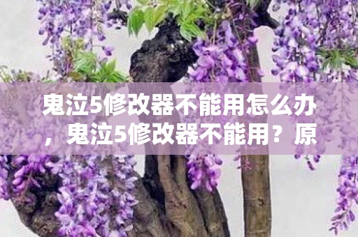 鬼泣5修改器不能用怎么办，鬼泣5修改器不能用？原因与解决方案详解