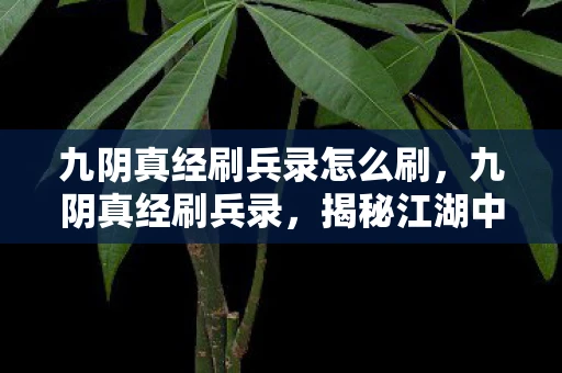 九阴真经刷兵录怎么刷,九阴真经刷兵录,揭秘江湖中的神秘修炼手册 九阴真经刷兵录怎么刷,九阴真经刷兵录,揭秘江湖中的神秘修炼手册