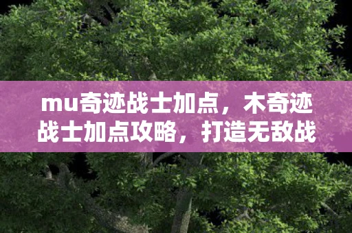 mu奇迹战士加点,木奇迹战士加点攻略,打造无敌战士的秘诀 mu奇迹战士加点,木奇迹战士加点攻略,打造无敌战士的秘诀