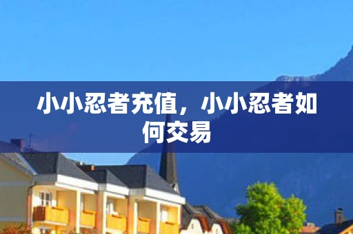 小小忍者充值，小小忍者如何交易