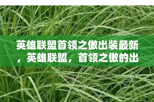 英雄联盟首领之傲出装最新,英雄联盟,首领之傲的出装指南 英雄联盟首领之傲出装最新,英雄联盟,首领之傲的出装指南