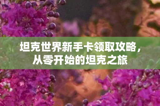 坦克世界新手卡领取攻略,从零开始的坦克之旅 坦克世界新手卡领取攻略,从零开始的坦克之旅