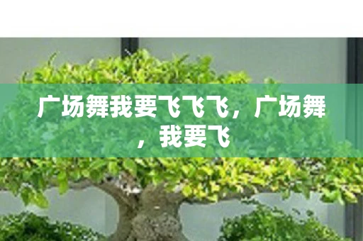 广场舞我要飞飞飞，广场舞，我要飞