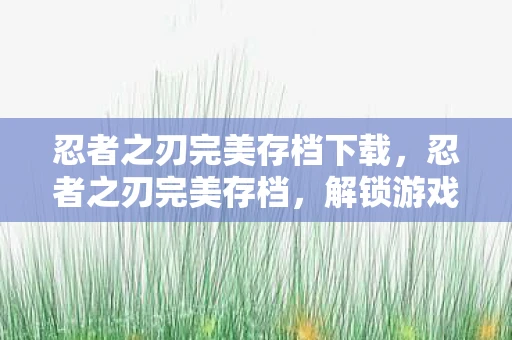 忍者之刃完美存档下载,忍者之刃完美存档,解锁游戏终极成就的秘诀 忍者之刃完美存档下载,忍者之刃完美存档,解锁游戏终极成就的秘诀