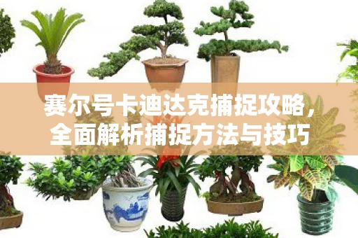 赛尔号卡迪达克捕捉攻略图片