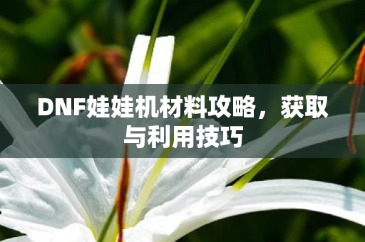 DNF娃娃机材料攻略图片