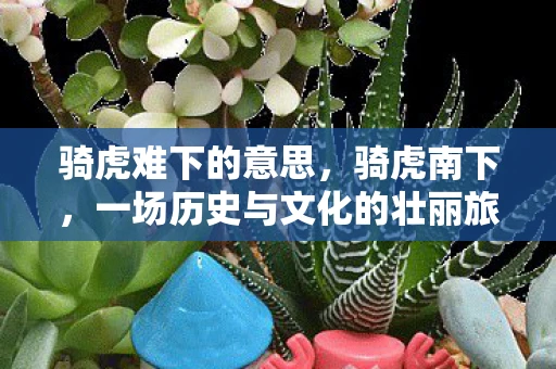 骑虎难下的意思，骑虎南下，一场历史与文化的壮丽旅程