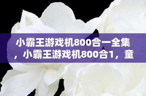 小霸王游戏机800合一全集,小霸王游戏机800合1,童年的回忆与时代的印记 小霸王游戏机800合一全集,小霸王游戏机800合1,童年的回忆与时代的印记