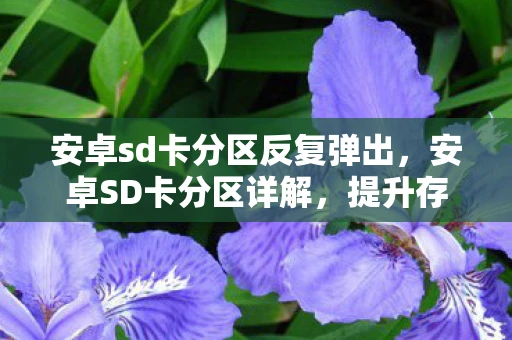 安卓sd卡分区反复弹出,安卓SD卡分区详解,提升存储效率与数据安全的实用指南 安卓sd卡分区反复弹出,安卓SD卡分区详解,提升存储效率与数据安全的实用指南