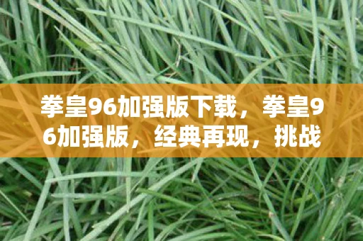 拳皇96加强版下载,拳皇96加强版,经典再现,挑战升级 拳皇96加强版下载,拳皇96加强版,经典再现,挑战升级