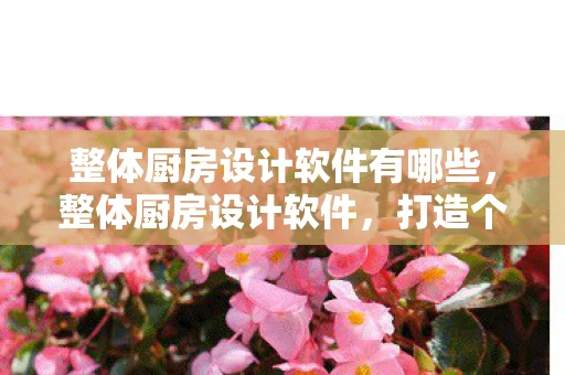 整体厨房设计软件有哪些,整体厨房设计软件,打造个性化厨房空间的新利器 整体厨房设计软件有哪些,整体厨房设计软件,打造个性化厨房空间的新利器