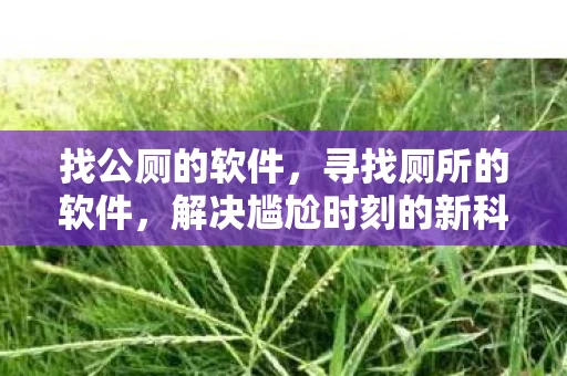 找公厕的软件,寻找厕所的软件,解决尴尬时刻的新科技 找公厕的软件,寻找厕所的软件,解决尴尬时刻的新科技