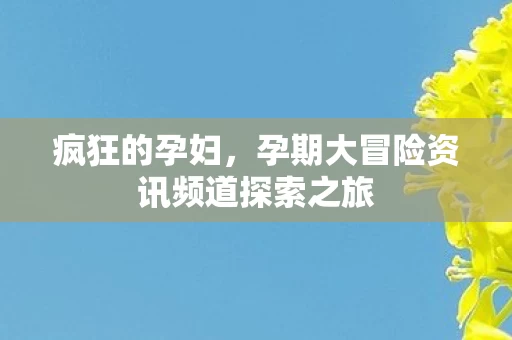 孕期大冒险资讯频道探索之旅图片