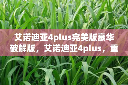 艾诺迪亚4plus完美版豪华破解版,艾诺迪亚4plus,重塑经典,再续传奇 艾诺迪亚4plus完美版豪华破解版,艾诺迪亚4plus,重塑经典,再续传奇