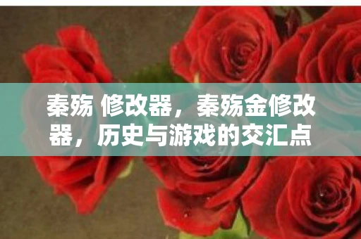 秦殇 修改器,秦殇金修改器,历史与游戏的交汇点 秦殇 修改器,秦殇金修改器,历史与游戏的交汇点