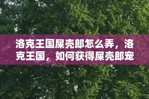 洛克王国屎壳郎怎么弄,洛克王国,如何获得屎壳郎宠物 洛克王国屎壳郎怎么弄,洛克王国,如何获得屎壳郎宠物
