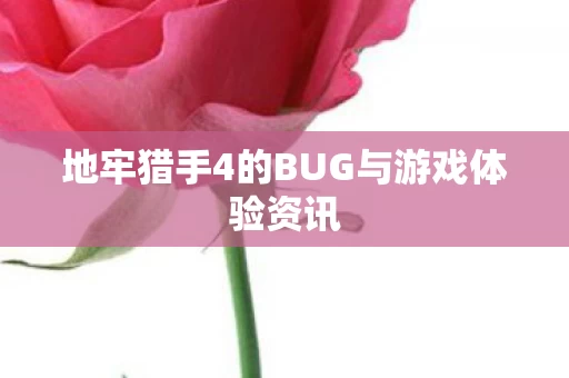 地牢猎手4的BUG与游戏体验资讯图片