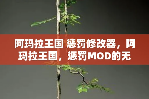 阿玛拉王国 惩罚修改器,阿玛拉王国,惩罚MOD的无限可能 阿玛拉王国 惩罚修改器,阿玛拉王国,惩罚MOD的无限可能