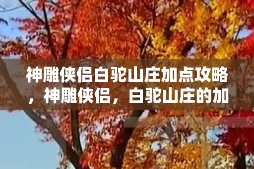 神雕侠侣白驼山庄加点攻略，神雕侠侣，白驼山庄的加点策略