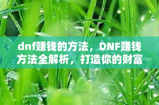 dnf赚钱的方法，DNF赚钱方法全解析，打造你的财富之路