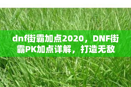 dnf街霸加点2020,DNF街霸PK加点详解,打造无敌PK角色 dnf街霸加点2020,DNF街霸PK加点详解,打造无敌PK角色