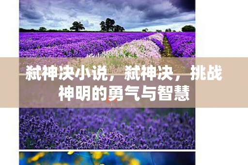 弑神决小说,弑神决,挑战神明的勇气与智慧 弑神决小说,弑神决,挑战神明的勇气与智慧