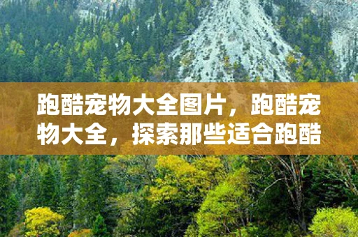 跑酷宠物大全图片，跑酷宠物大全，探索那些适合跑酷的宠物