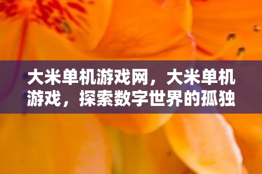 大米单机游戏网，大米单机游戏，探索数字世界的孤独之旅