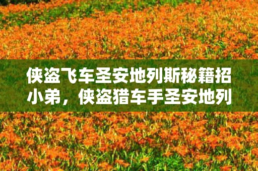 侠盗飞车圣安地列斯秘籍招小弟,侠盗猎车手圣安地列斯秘籍,如何招小弟 侠盗飞车圣安地列斯秘籍招小弟,侠盗猎车手圣安地列斯秘籍,如何招小弟