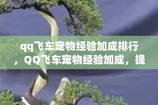 qq飞车宠物经验加成排行,QQ飞车宠物经验加成,提升你的游戏竞争力 qq飞车宠物经验加成排行,QQ飞车宠物经验加成,提升你的游戏竞争力