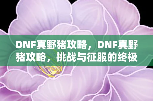 DNF真野猪攻略，DNF真野猪攻略，挑战与征服的终极指南