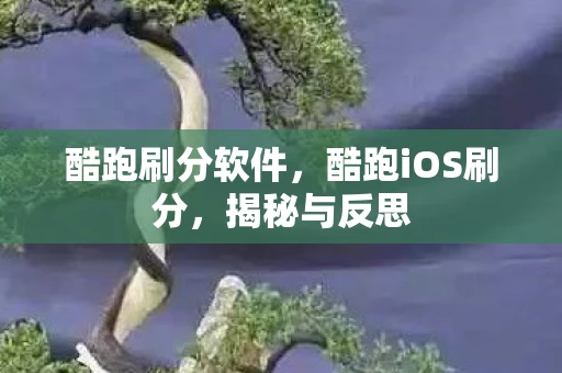 酷跑刷分软件,酷跑iOS刷分,揭秘与反思 酷跑刷分软件,酷跑iOS刷分,揭秘与反思