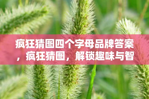 疯狂猜图四个字母品牌答案,疯狂猜图,解锁趣味与智慧的数字谜题 疯狂猜图四个字母品牌答案,疯狂猜图,解锁趣味与智慧的数字谜题