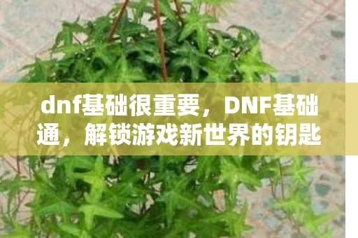 dnf基础很重要,DNF基础通,解锁游戏新世界的钥匙 dnf基础很重要,DNF基础通,解锁游戏新世界的钥匙