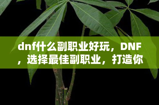 dnf什么副职业好玩,DNF,选择最佳副职业,打造你的专属职业之路 dnf什么副职业好玩,DNF,选择最佳副职业,打造你的专属职业之路