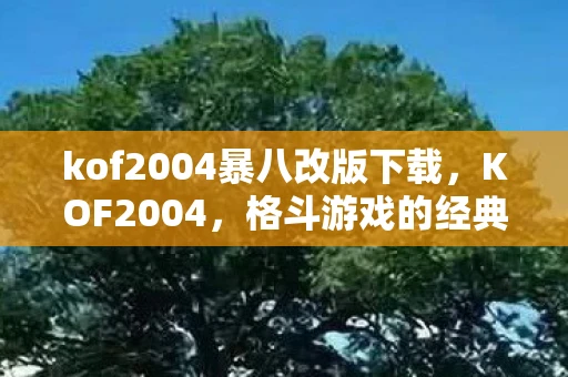 kof2004暴八改版下载,KOF2004,格斗游戏的经典之作 kof2004暴八改版下载,KOF2004,格斗游戏的经典之作