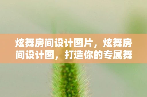 炫舞房间设计图片,炫舞房间设计图,打造你的专属舞蹈空间 炫舞房间设计图片,炫舞房间设计图,打造你的专属舞蹈空间