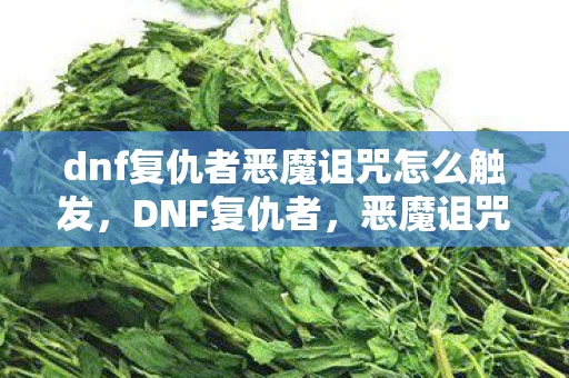 dnf复仇者恶魔诅咒怎么触发,DNF复仇者,恶魔诅咒的宿命 dnf复仇者恶魔诅咒怎么触发,DNF复仇者,恶魔诅咒的宿命
