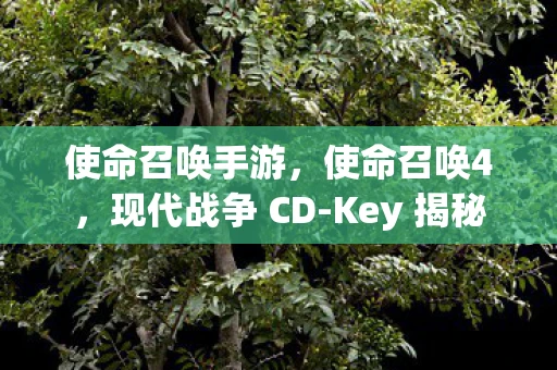 使命召唤手游,使命召唤4,现代战争 CD-Key 揭秘 使命召唤手游,使命召唤4,现代战争 CD-Key 揭秘